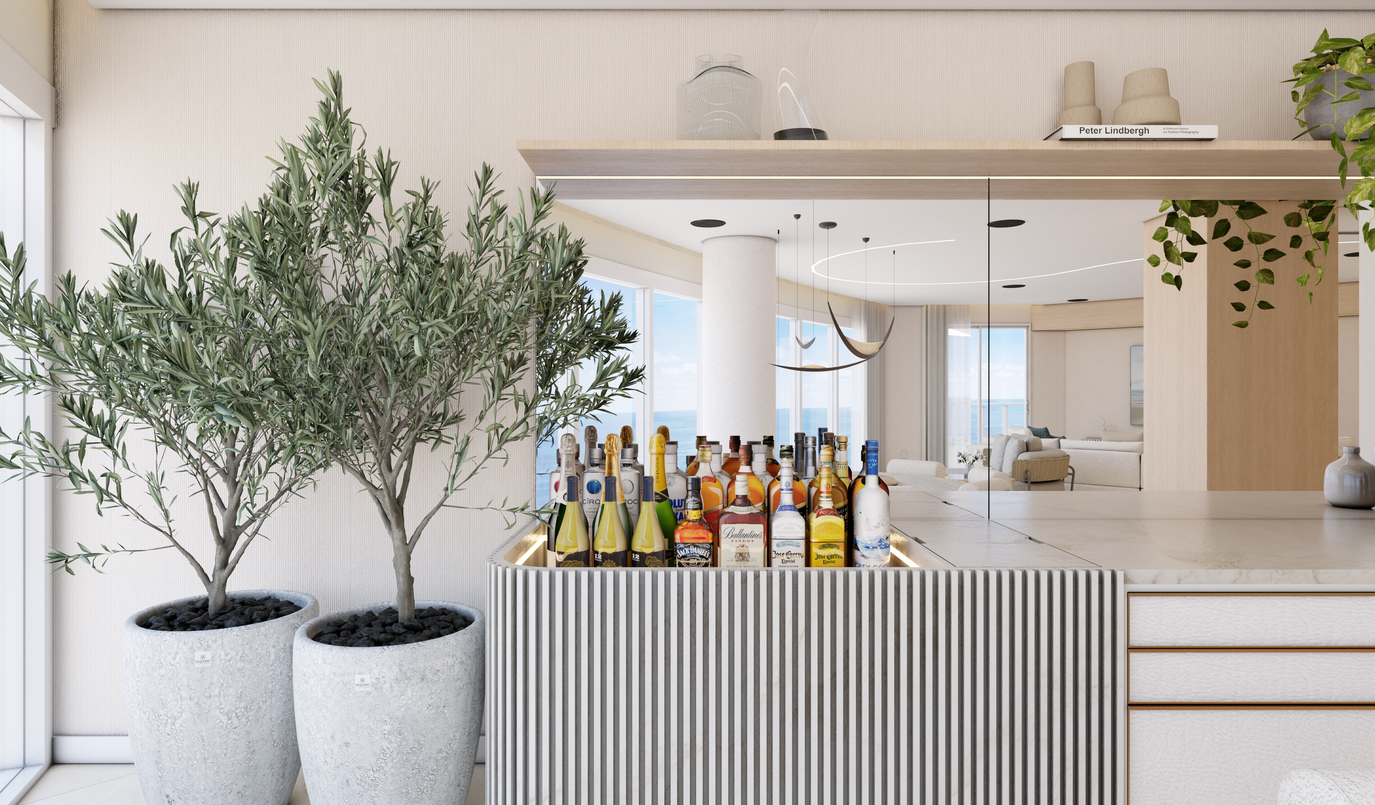 Bar bottles display